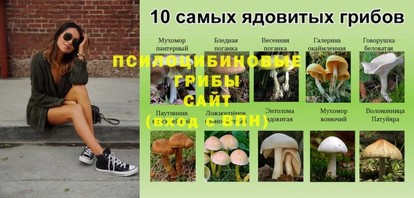 гидропоника Белоозёрский