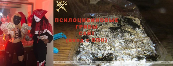 гидропоника Белоозёрский