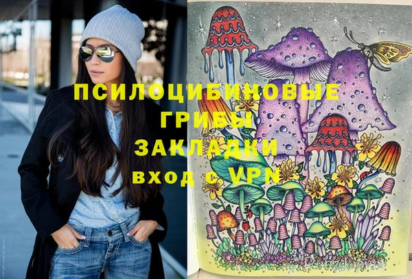 спайс Белокуриха